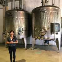 Free Wine Tasting in Khao Yai