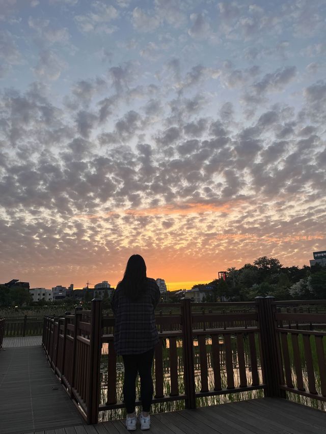 가을 저녁, 노을 구경하러 구로 항동 푸른수목원 산책은 어떠세요?🌿