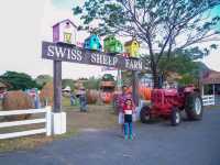 ไปเป็นเด็กเลี้ยงแกะ@Swiss Sheep Farm