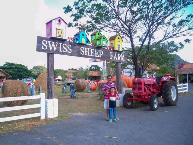 ไปเป็นเด็กเลี้ยงแกะ@Swiss Sheep Farm