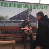 Caversham Wildlife Park 