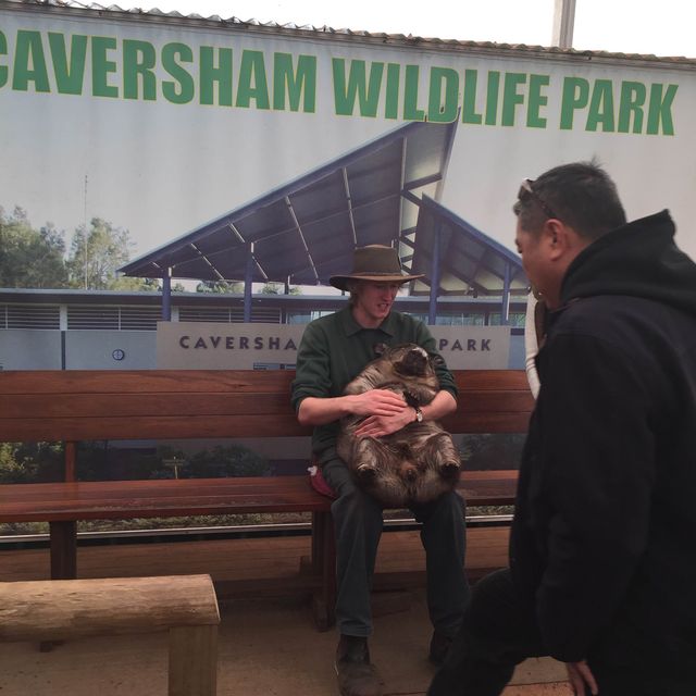 Caversham Wildlife Park 