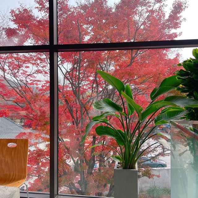 韓国/ソウル【牛耳洞】紅葉が見れる🍁大型ベーカリーカフェ💛