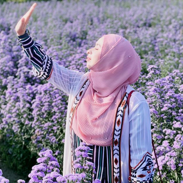 🌺 "ฮิมปิง ฟลาวเวอร์" แม่ริม เชียงใหม่🌺