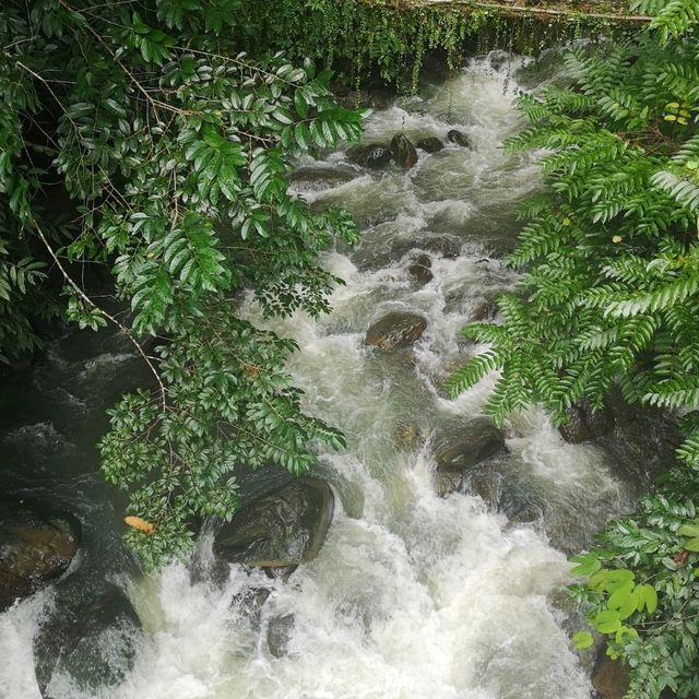 PORING HOT SPRING SABAH 