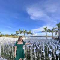 10,000 Roses Cafe Cebu Philippines