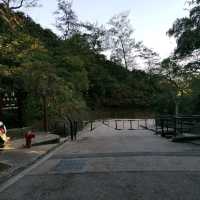 水塘扒船仔