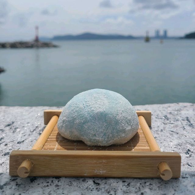 젤라또와 찹쌀떡의 찰떡 조합 ✨
