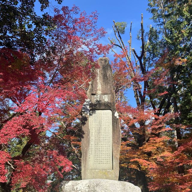 【京都・南禅寺】まだまだ見頃の紅葉
