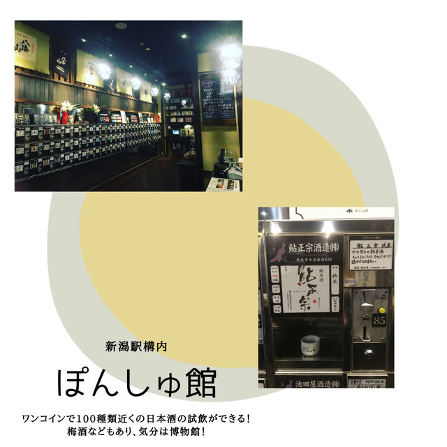 【新潟】観光スポットまとめ！！