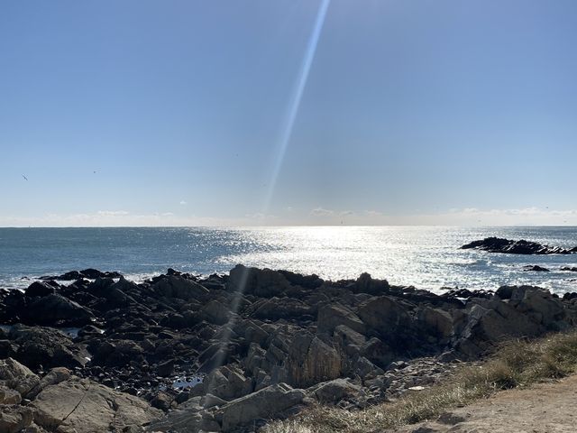 [🇰🇷, 부산] 기장의 오시리아 해안산책로 🌊