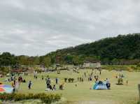 草地任你滾 佐敦谷公園