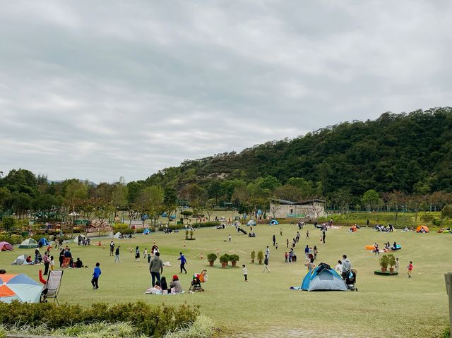 草地任你滾 佐敦谷公園
