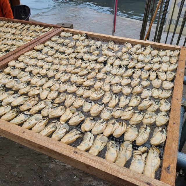 蠔食蠔買