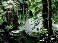 สายแคมป์ปิ้งต้องจัด 🌿☘️⛺️ "ภูทัพฟ้า แคมป์ปิ้ง2"