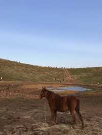 제주 금오름, 찍기만해도 인생샷 완성 🤎🐎⛰