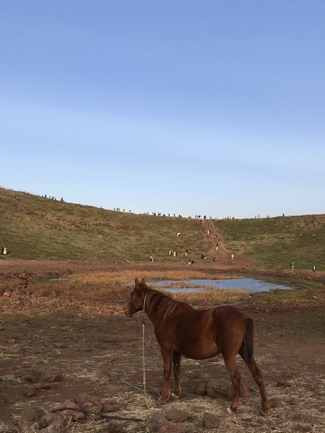 제주 금오름, 찍기만해도 인생샷 완성 🤎🐎⛰