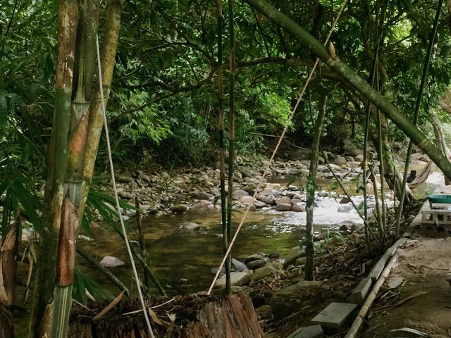 น้ำตก ในสวน