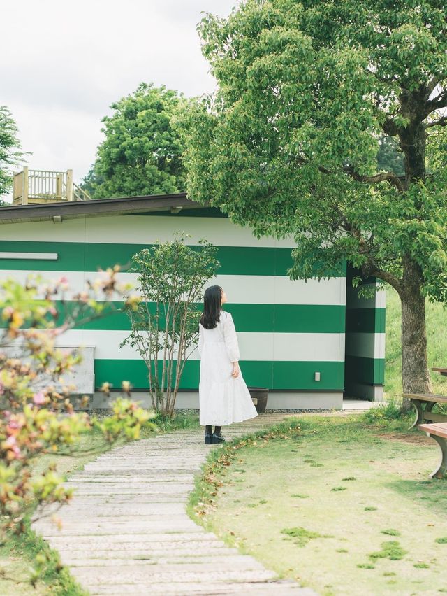【千葉】おしゃれすぎる直売所  愛彩畑