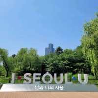 인생샷 찍기 좋은 "용산공원부분개방부지"
