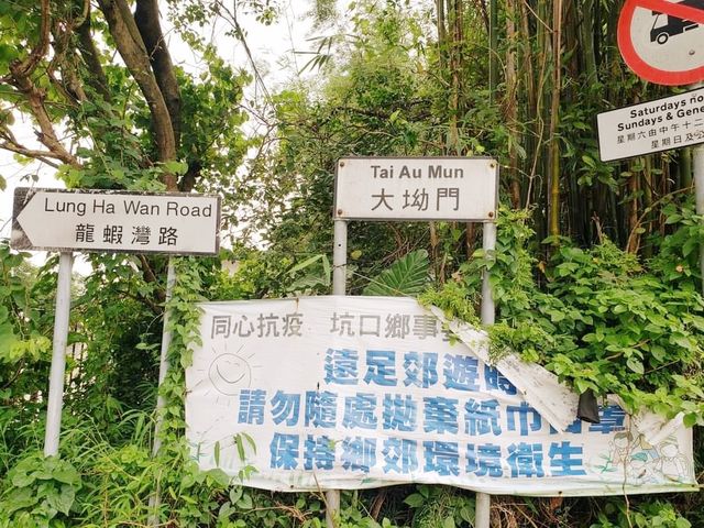清水灣大坳門