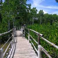 Mangroove Eco-Park