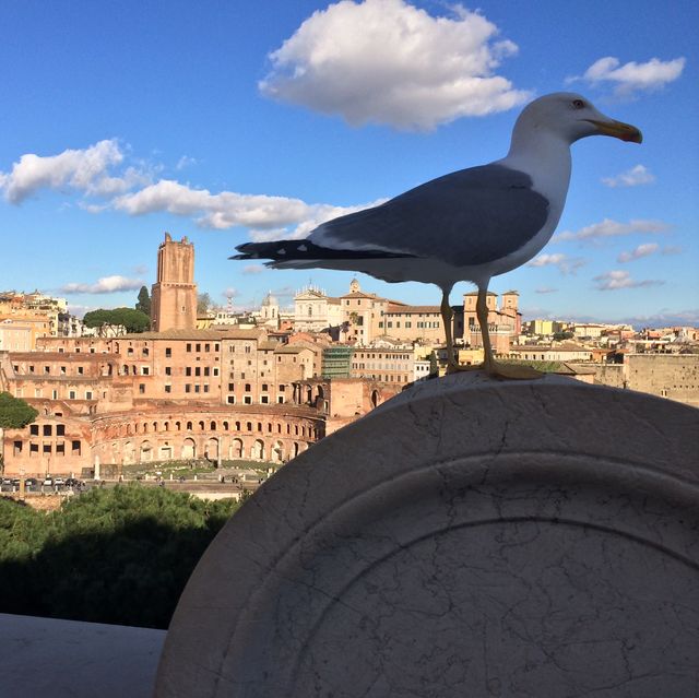 意大利 羅馬🔶 Vittoriano