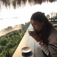 ร้าน star doi 
