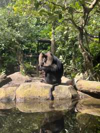 An Animal Afternoon at River Wonders 🦦 