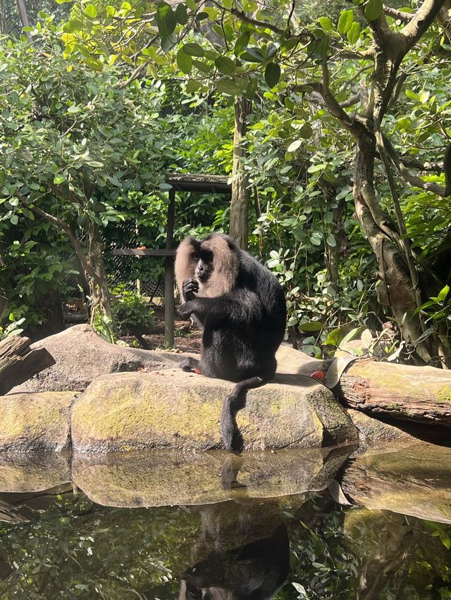 An Animal Afternoon at River Wonders 🦦 