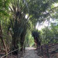 Hiking at Thomson Nature Park