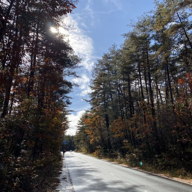 跑遍全世界之富士山馬拉松2019