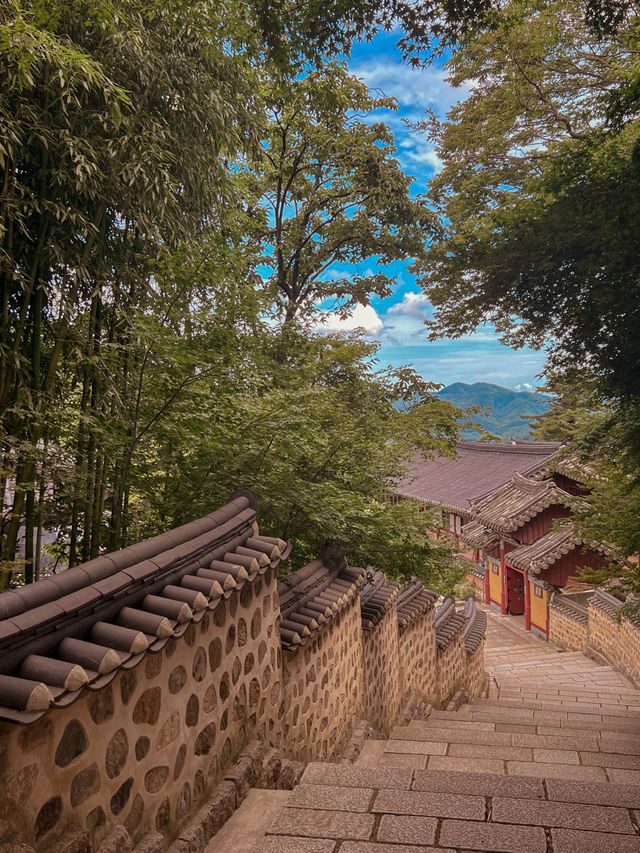 마음이 편안해지는 부산 여행지✨ 범어사