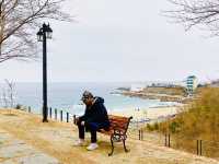 [속초][고성]시크릿블루베이커리카페- 사이코지만 괜찮아📸