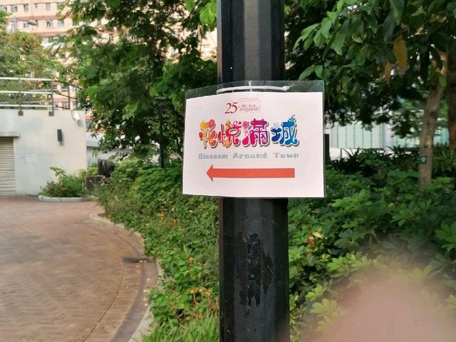 櫻桃街公園 - 花悅滿城 主題園圃