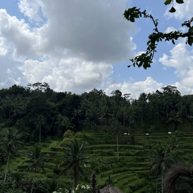 巴厘岛之旅美丽的风景