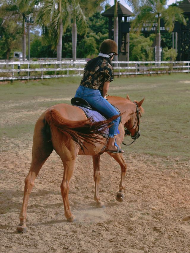 COWBOY TOWN, THE MAIN ATTRACTION