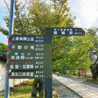 【京都】豊臣秀吉の豪華絢爛ぶりを感じる