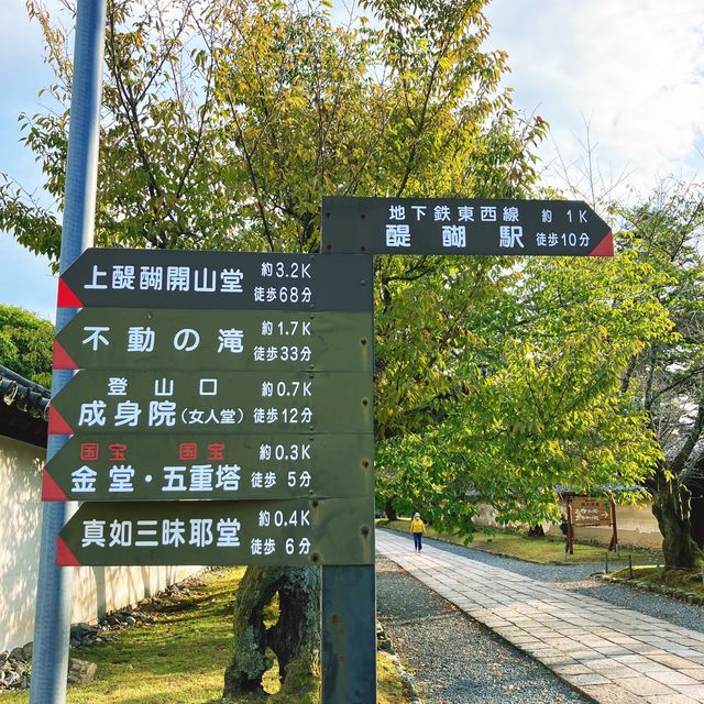 【京都】豊臣秀吉の豪華絢爛ぶりを感じる