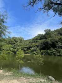 流水響水塘-行山新手也能輕鬆完成的路線