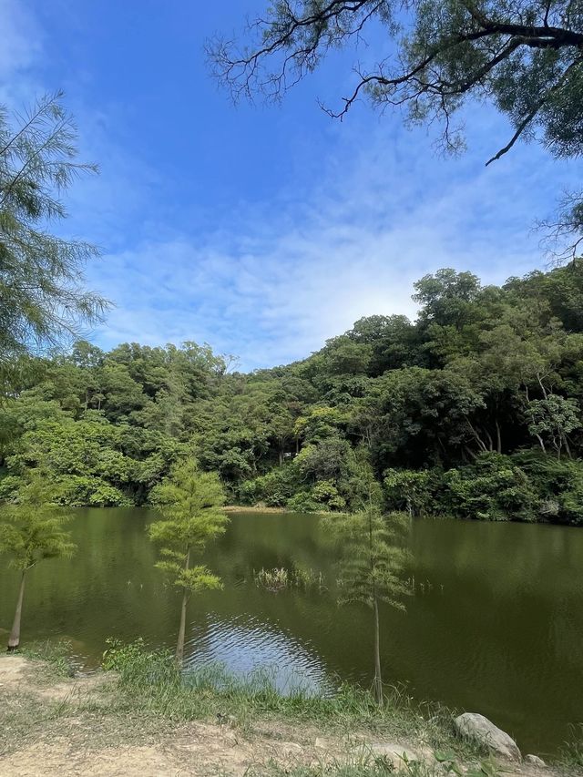 流水響水塘-行山新手也能輕鬆完成的路線
