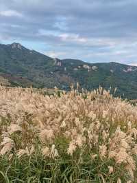 가을 억새명소, 황매산오토캠핑장 둘러보기🏕
