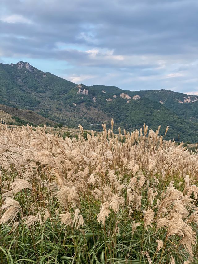 가을 억새명소, 황매산오토캠핑장 둘러보기🏕