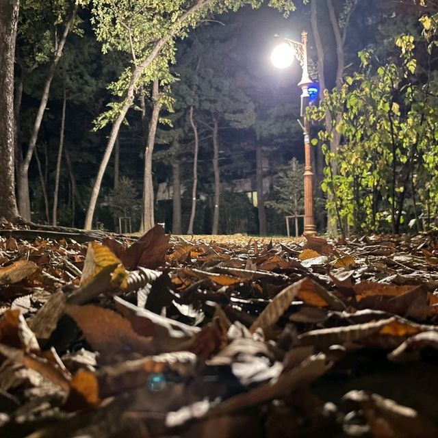 서울 도산공원