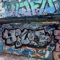 hoiser lane 