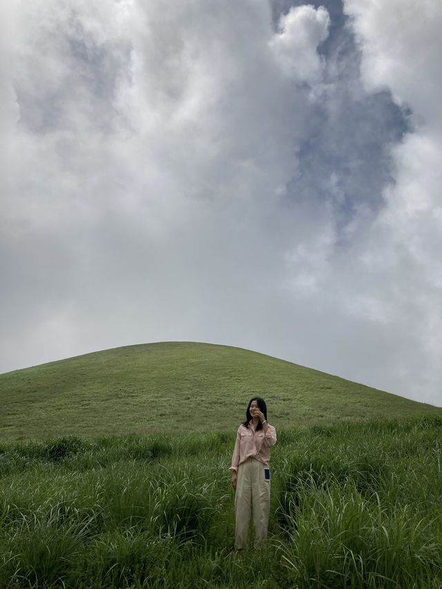 제주도 서쪽 여행,애월 새별오름