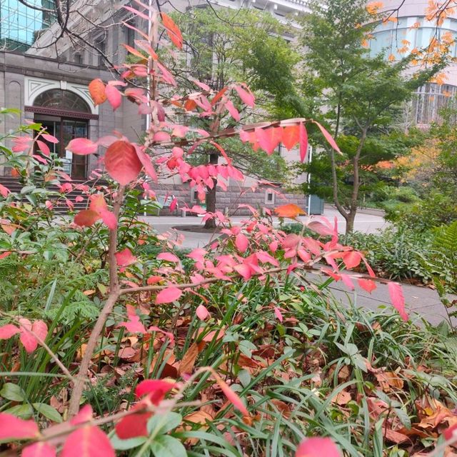 東京 新橋 "紅葉の旧新橋停車場駅舎"         ヨーロッパ!?、新橋です!! 緑・黄・オレンジ・赤、カラフル!!