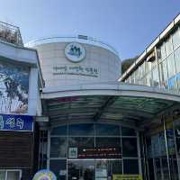 가야산으로 가야해!