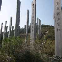 The Wisdom Path 