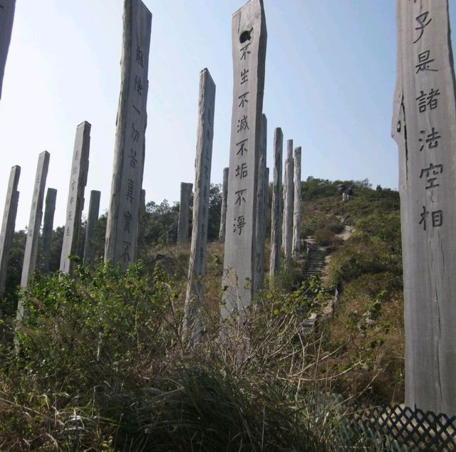 The Wisdom Path 